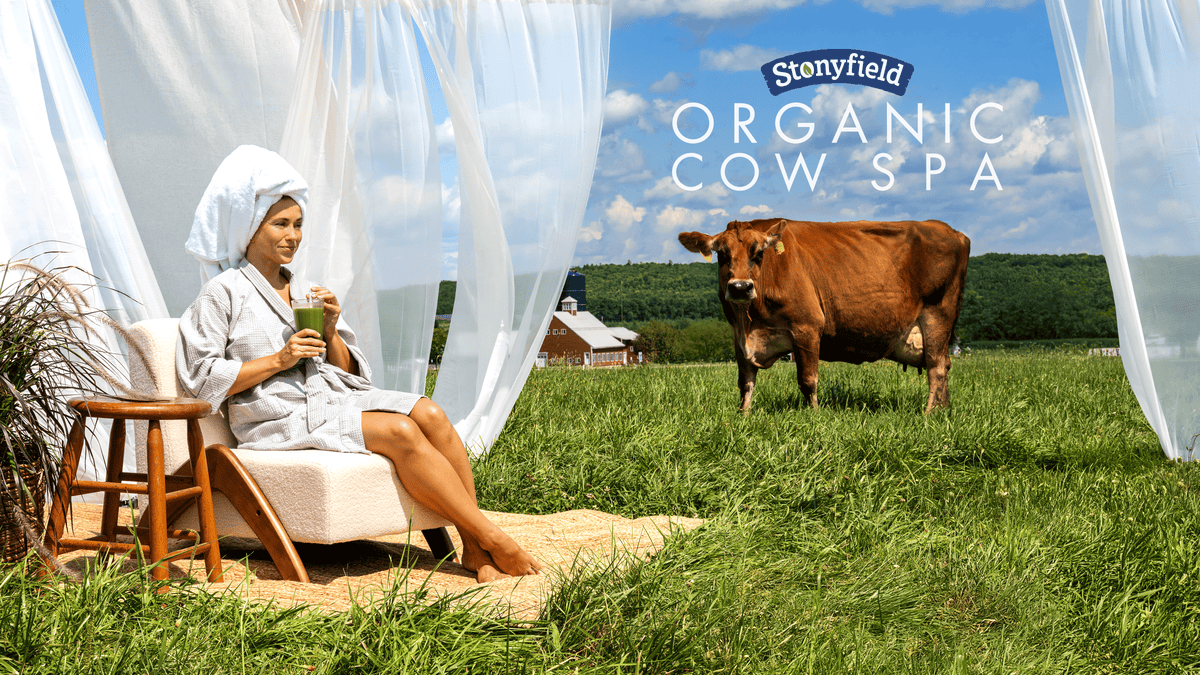 Stonyfield Organic - Organic Cow Spa Experience